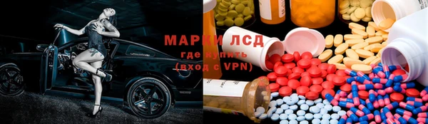 прущие грибы Михайлов