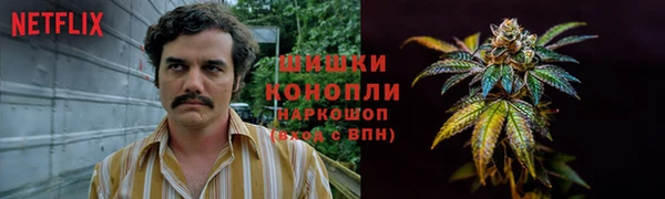 ешки Михайловск