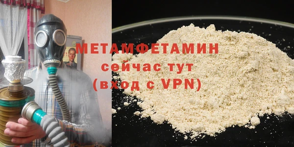 прущие грибы Михайлов