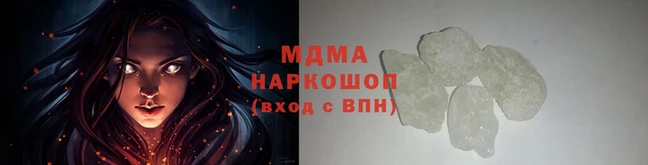 прущие грибы Михайлов