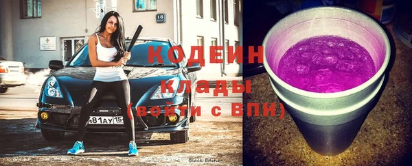прущие грибы Михайлов