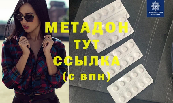 прущие грибы Михайлов