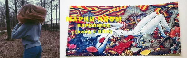 прущие грибы Михайлов