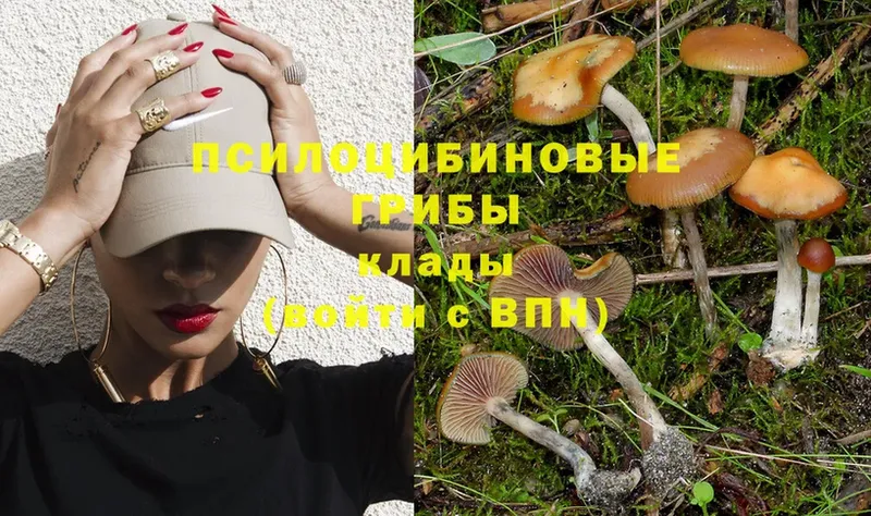 Галлюциногенные грибы Magic Shrooms  Дмитровск 